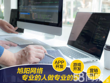 軟件與網站開發 從系統到游戲的全景解析